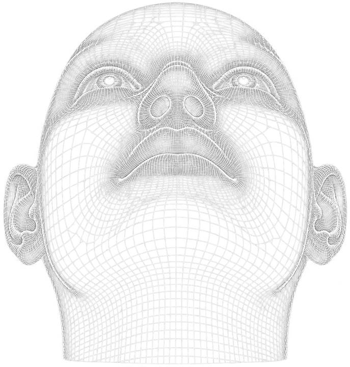 Wire-mesh head seen from below