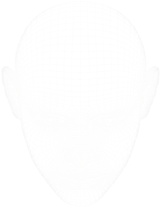 Wire-mesh head seen from above